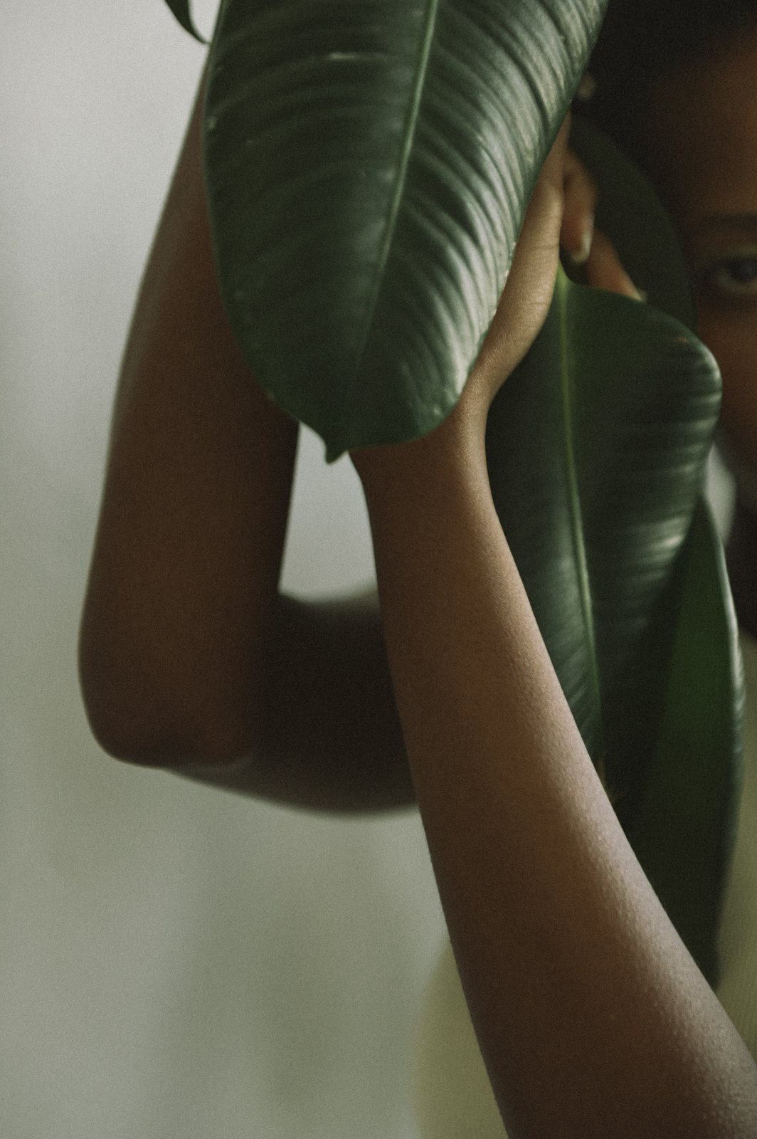 A person holds two large glossy leaves up against the side of their face, one eye showing at the edge of the frame.