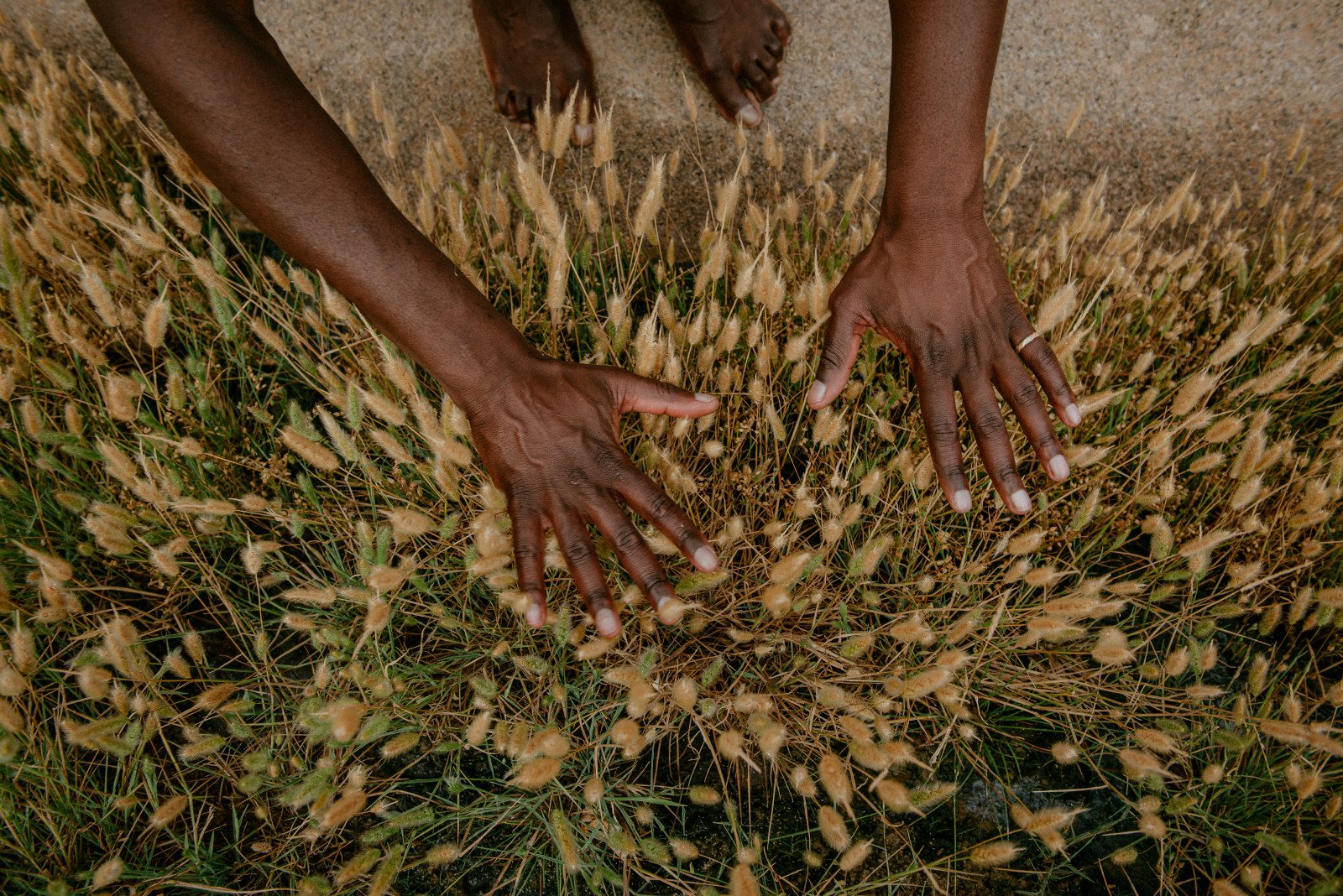 A person bends barefoot over a patch of grass gone to seed, both hands spread just above the soft seed heads.